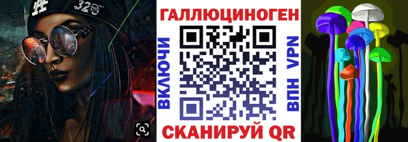 Купить закладки  Мезень  Псилоцибиновые грибы GOLDEN TEACHER 